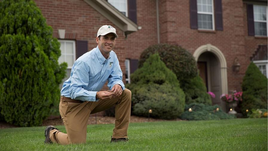 Cover photo of Lawn Doctor of Pinellas Park-St. Petersburg